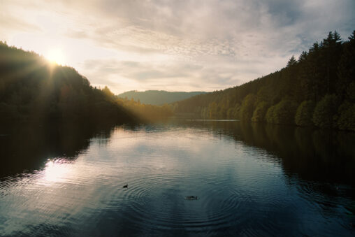 landscape picture taken in South Germany with sun, water and forest